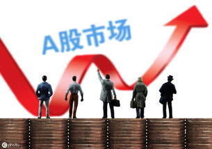 股民回忆录 50万炒到7800元的血泪教训分析 终结篇