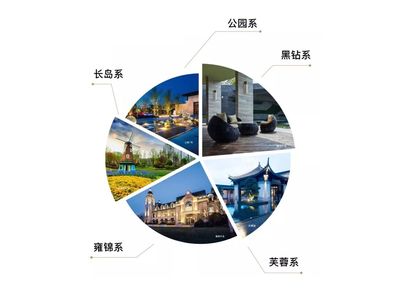 蓝光“代工代建”规模翻番,凭着三种武器
