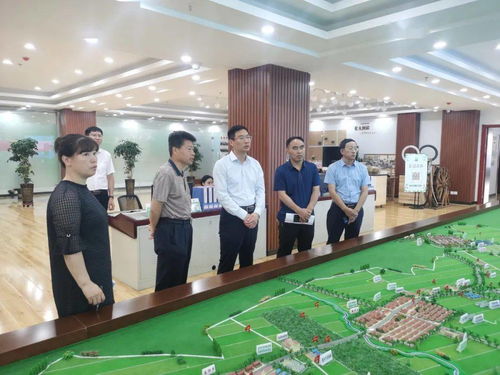 县委副书记 政府县长徐宏君开展调研工作