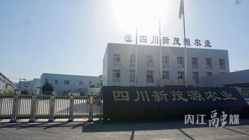 在希望的 甜 野上丨内江 链 上发力 推动 甜味 产业集群化发展