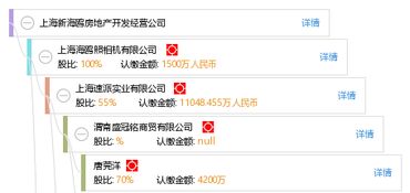 上海新海鸥房地产开发经营公司