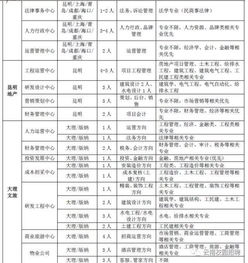 云南实力房地产开发经营集团2018年招聘公告