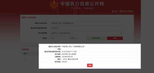 中瑞元海 抚州 开发被限制高消费,关联对象为吕元庆