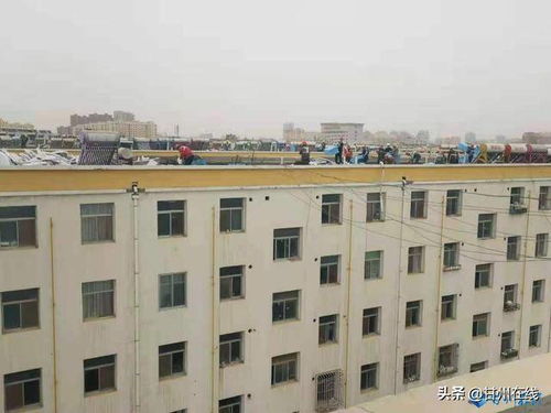 甘州区房地产经营管理公司认真开展 我为群众办实事 让 老 居民享受 新 生活