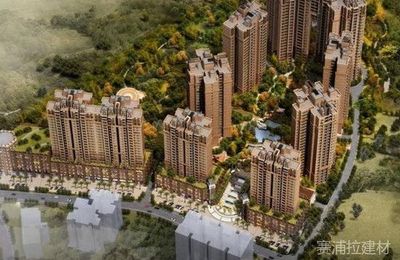 赛浦拉建材研讨:精装房时代下,装修辅材行业经营方式如何迭代?
