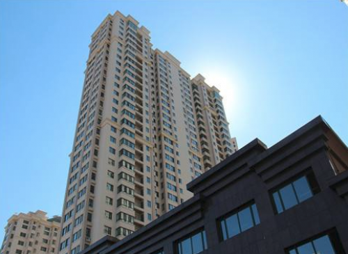 青年城邦多元化布局 实现企业飞速发展