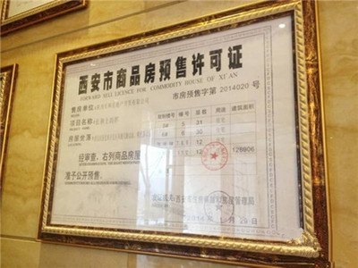 办理农业投资预售许可证的条件解析