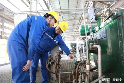 永坪炼油厂提前9天实现首月生产经营开门红，助力农业投资稳步推进